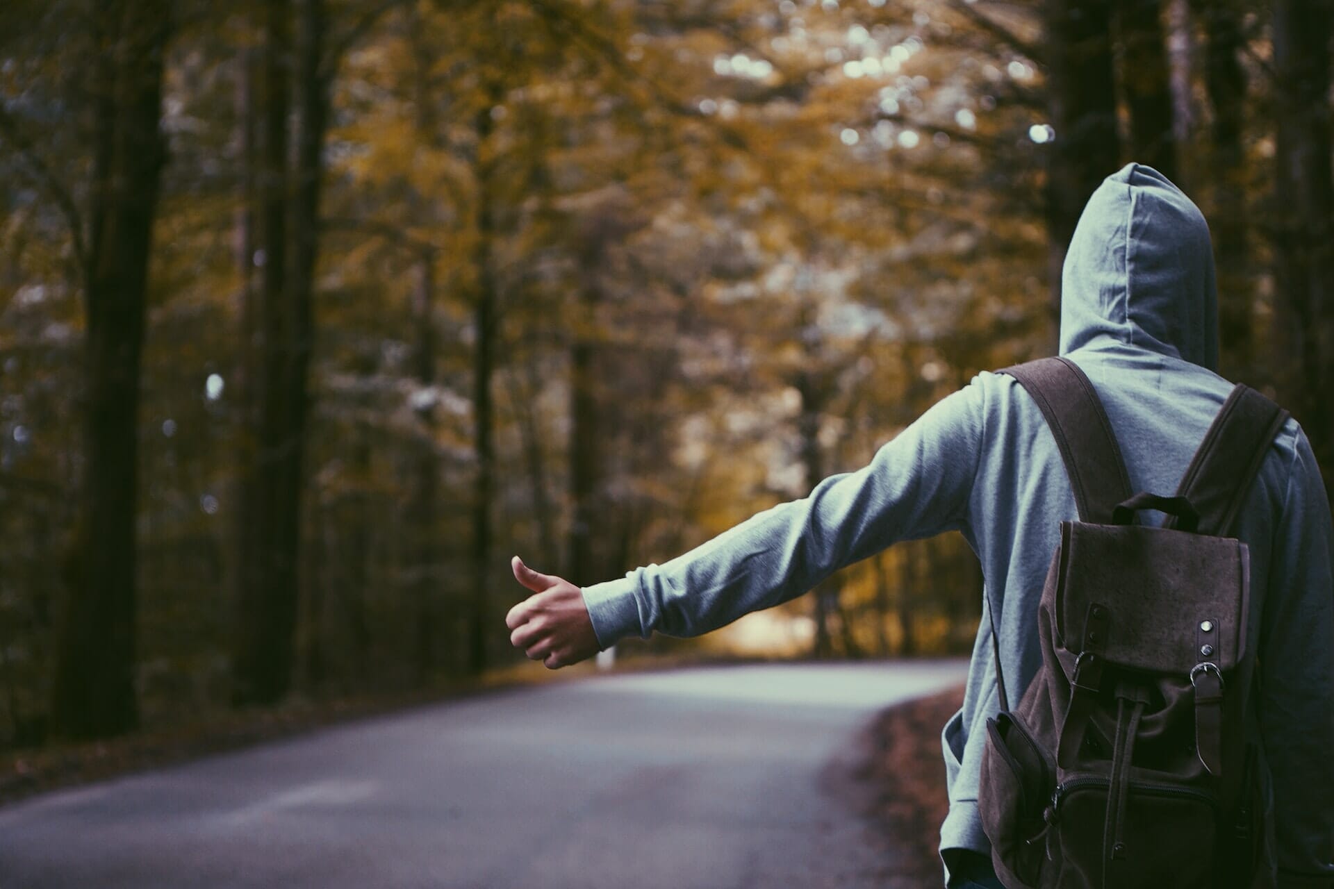 Beware Of The Hitchhikers- Why Startup Founders Should Choose Their Venture Capitalists Wisely