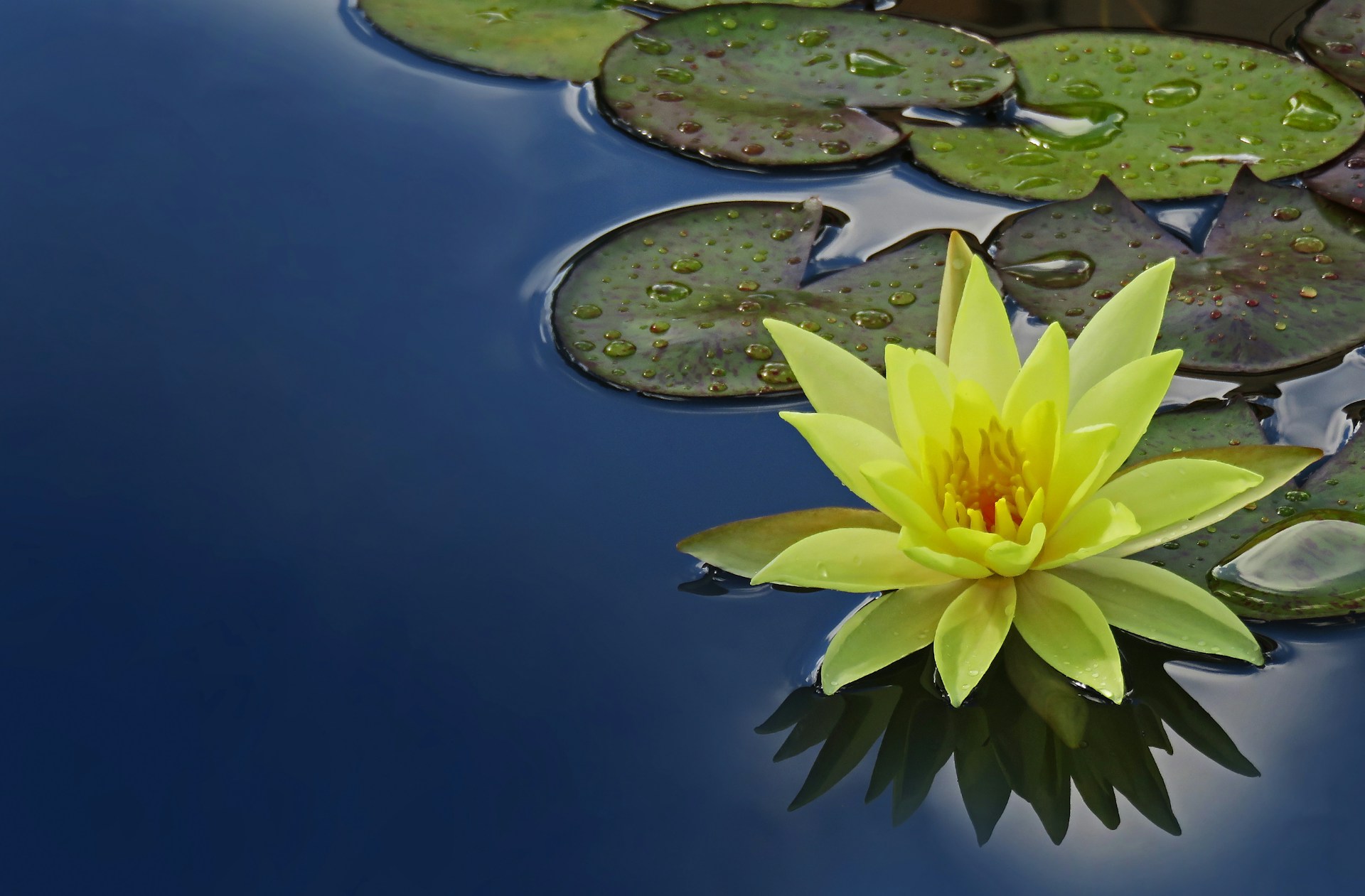 The Strength In Stillness