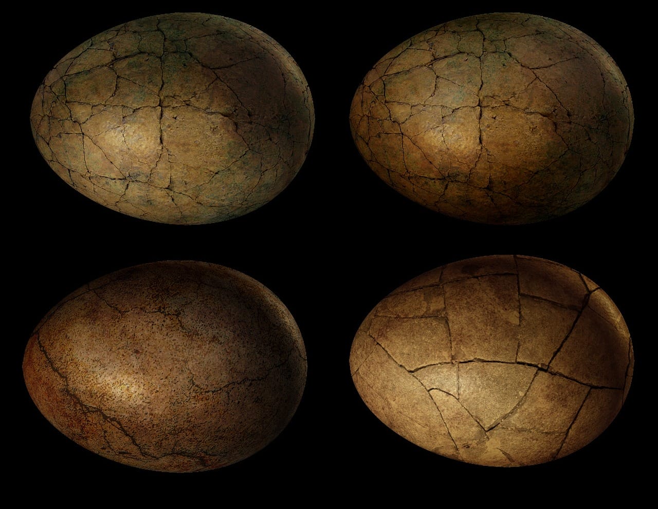 Dinosaur Egg: The Story Of World's Rarest Salt
