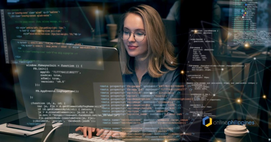 what-web-developer-do