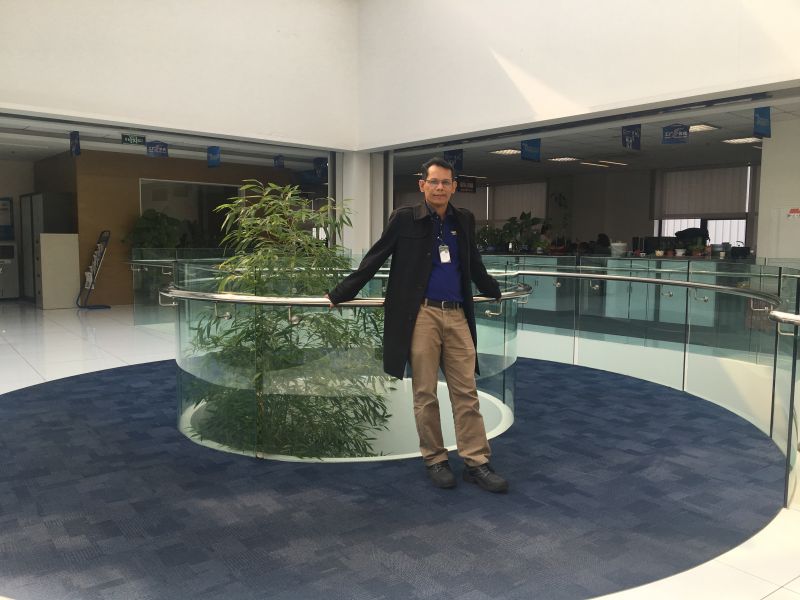 What-The-Bell-Curve-Teaches-Us-About-Life