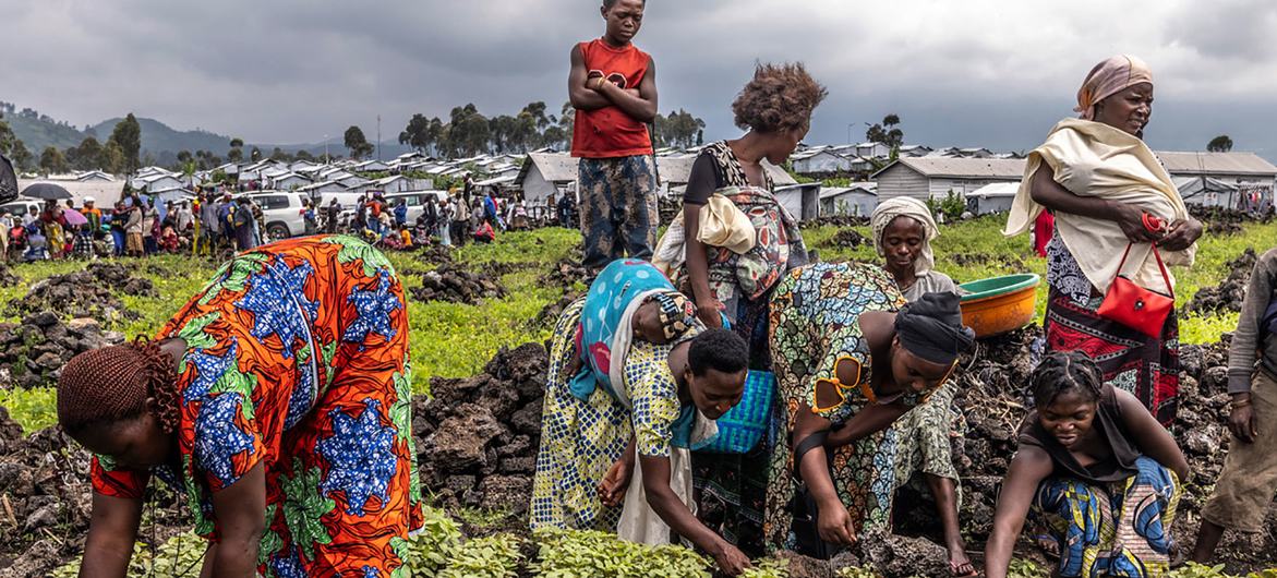 Why-Are-Over-670-Million-People-Going-Hungry
