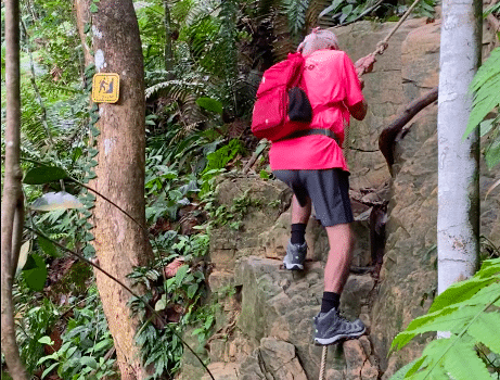 Screenshot-2025-06-17-at-12.36.58-PM