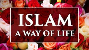 4AA50C81-C859-424A-8E14-1140D30DA48E