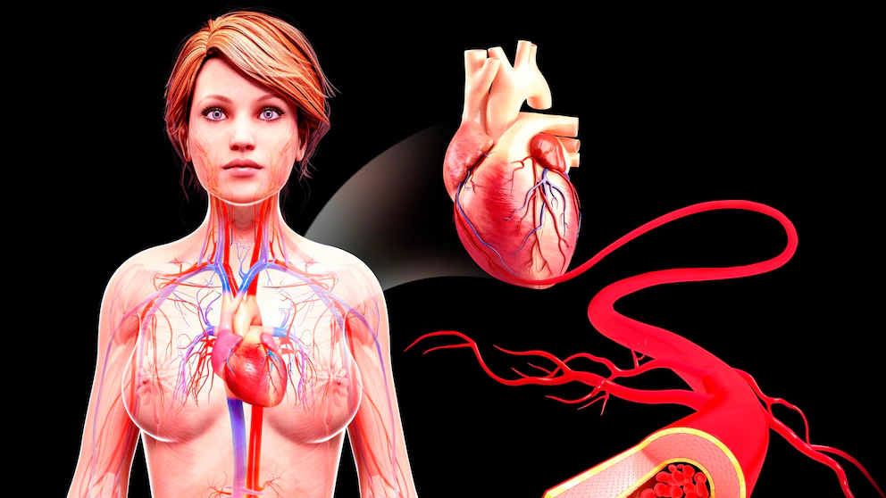 Heart-Attacks-In-Women-Often-Have-Different-Causes-Than-In-Men