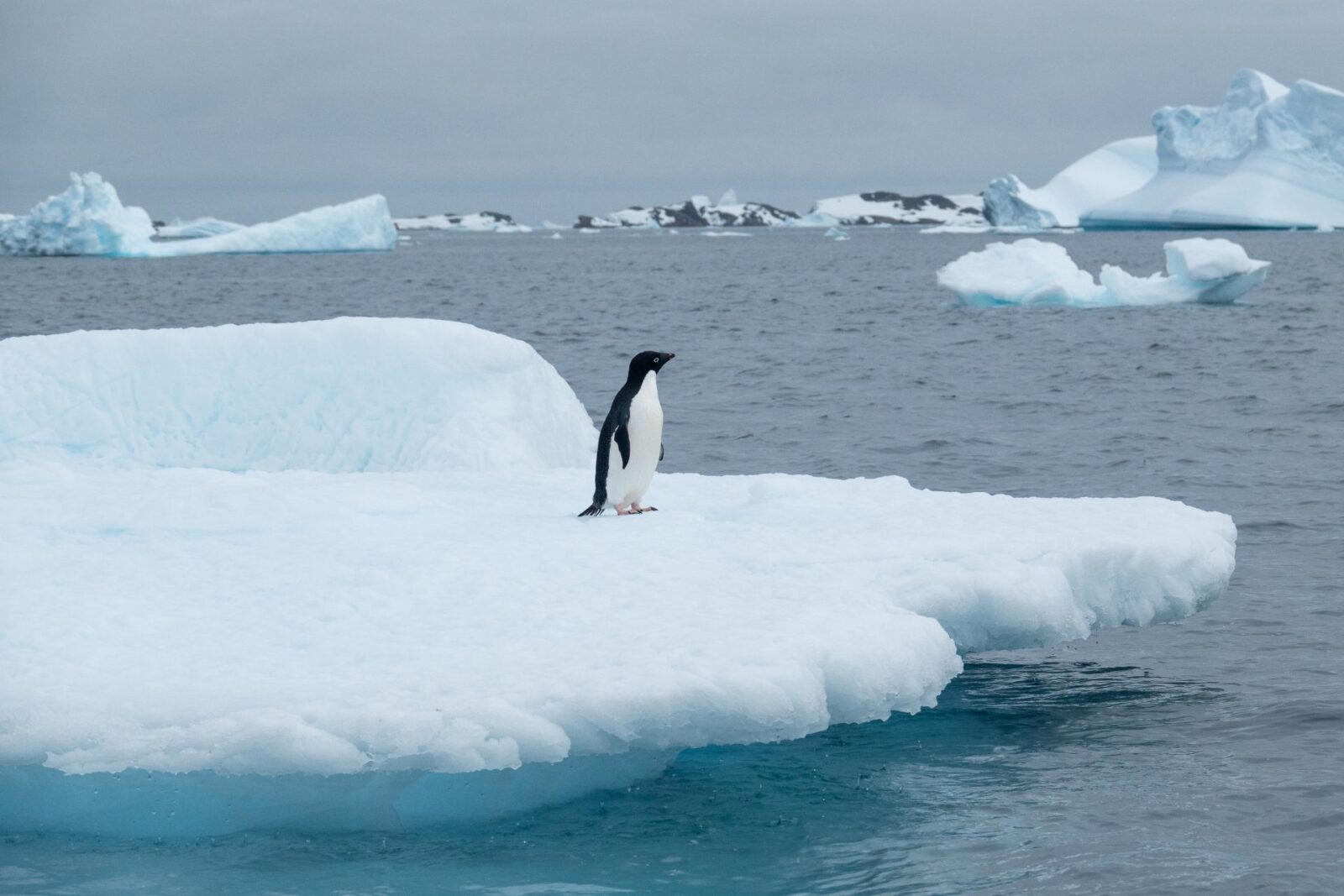 6-Wild-Climate-Fixes-Scientists-Are-Actually-Considering