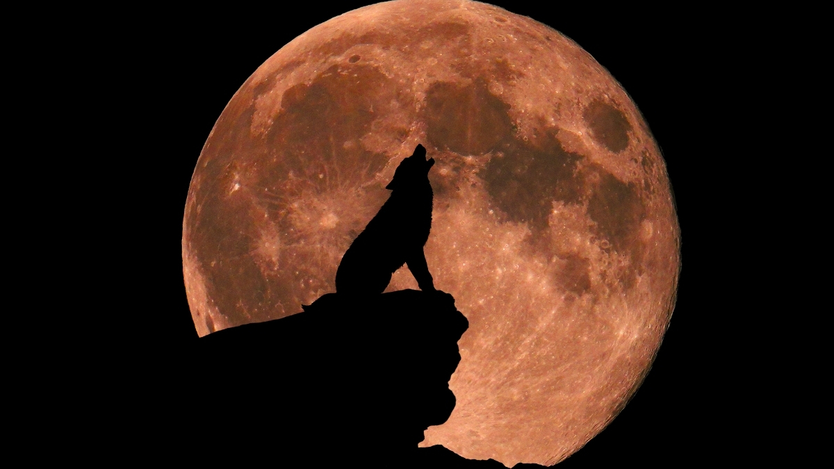 Does-The-Full-Moon-Really-Affect-Our-Sleep-Heres-The-Science