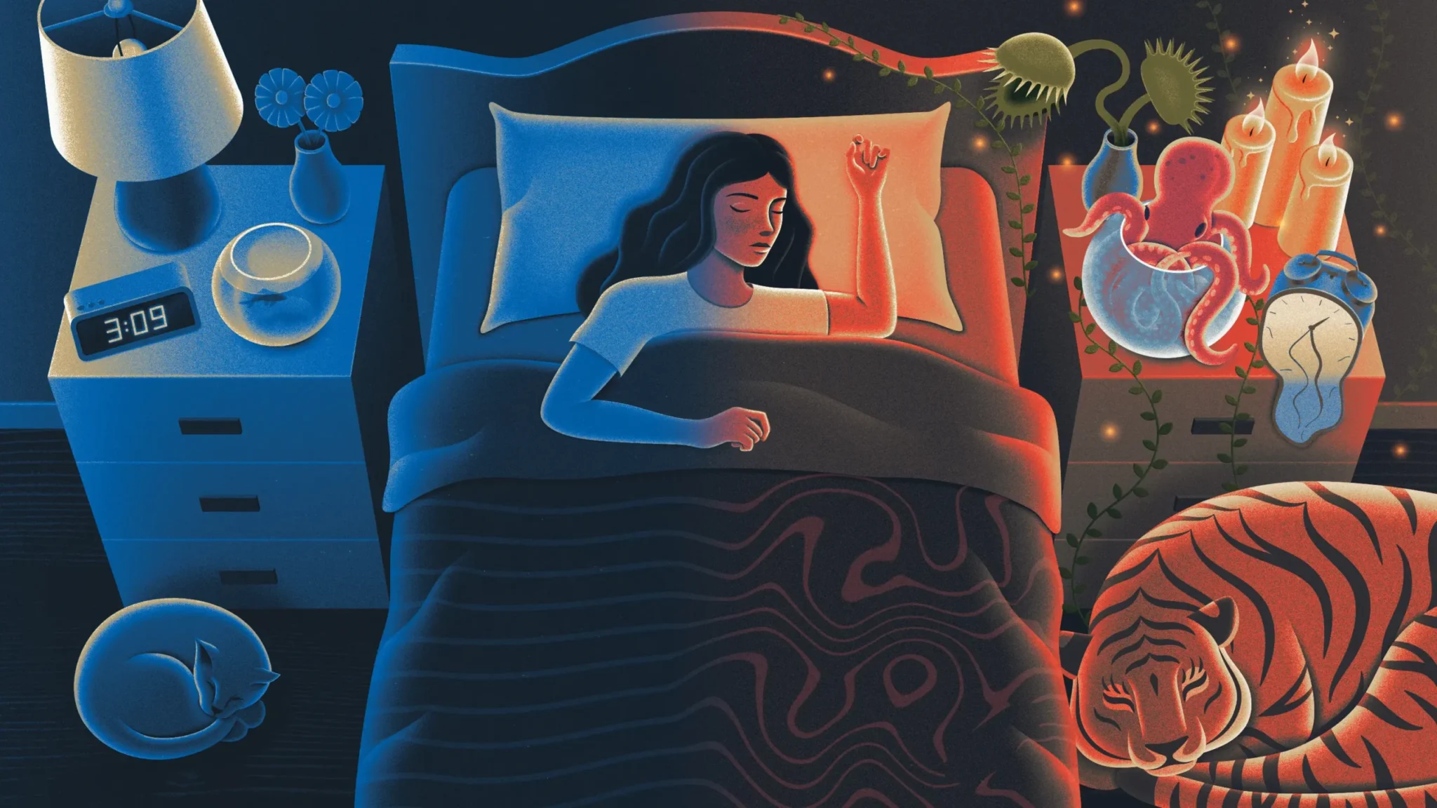 How-The-Brain-Moves-From-Waking-Life-To-Sleep-And-Back-Again
