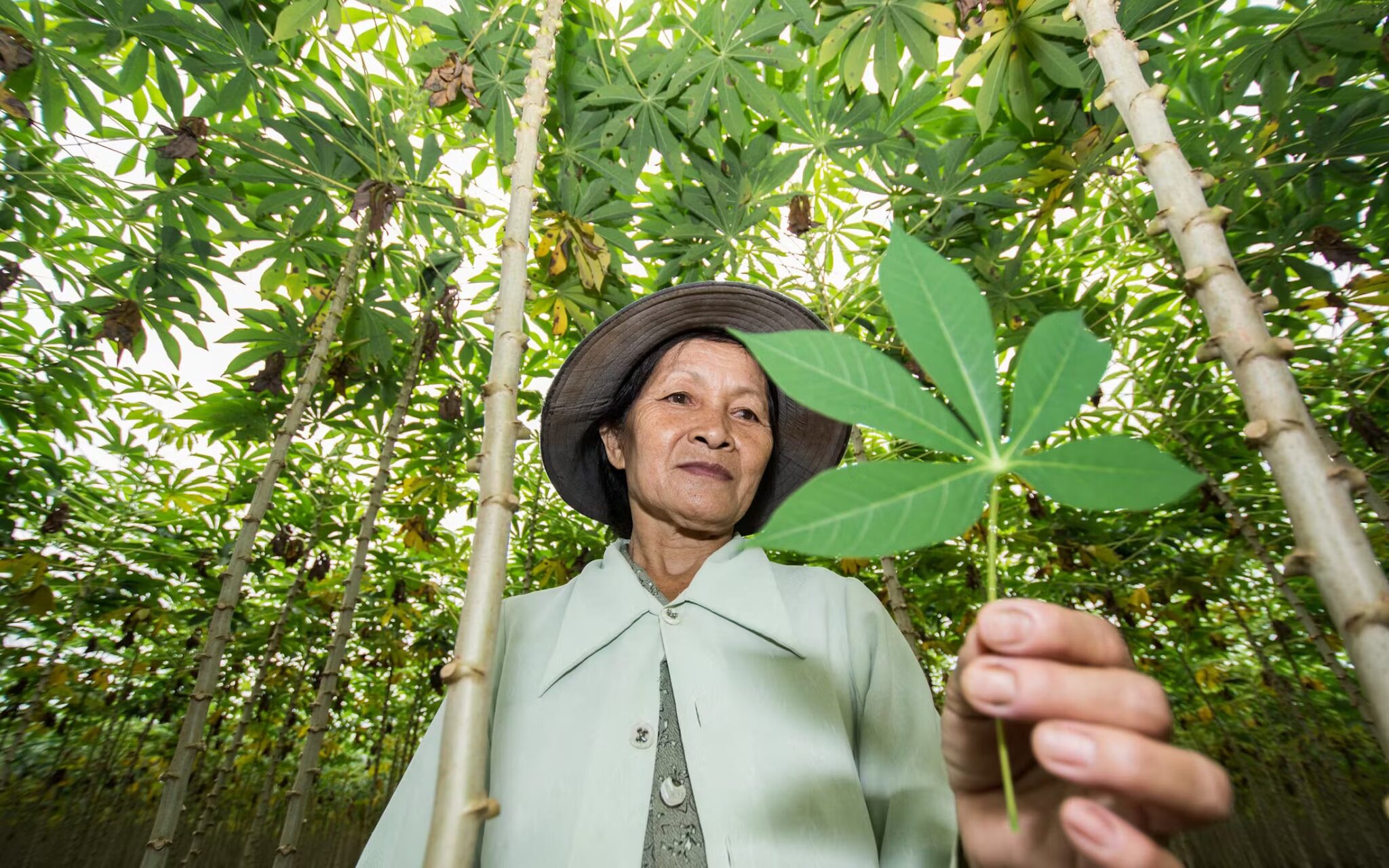 UN-Report-Five-Charts-Showing-How-Global-Deforestation-Is-Declining