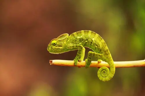 20-India-National-Parks-That-Are-Wild-Untamed-Bucket-List-Worthy