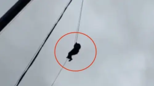 HANG-IN-THERE-Terrifying-Moment-Family-Is-Forced-To-Scale-Down-150ft-Crane-After-Getting-Trapped-At-‘Sky-Dining-Restaurant-For-Hours