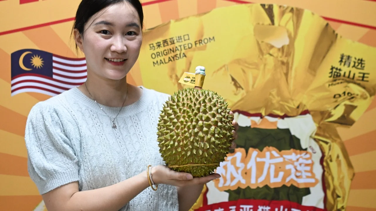 Malaysias-Durian-National-Fruit-Bid-Turns-Thorny-As-Dream-Clashes-With-Indonesias-Claim
