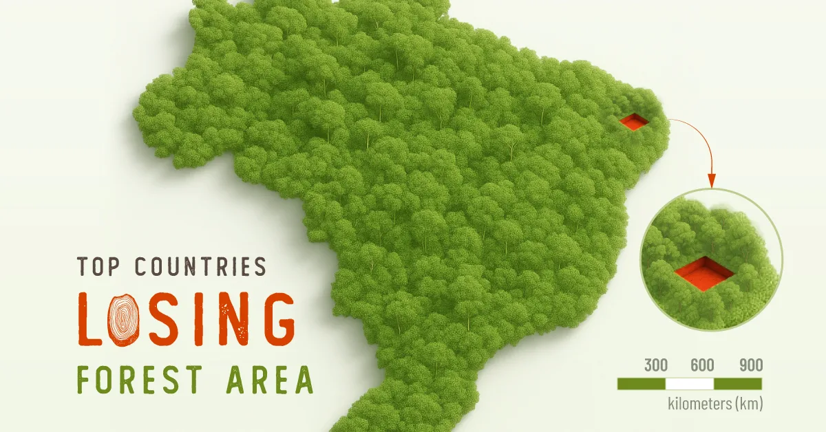 Ranked-Countries-With-The-Highest-Rates-Of-Forest-Loss