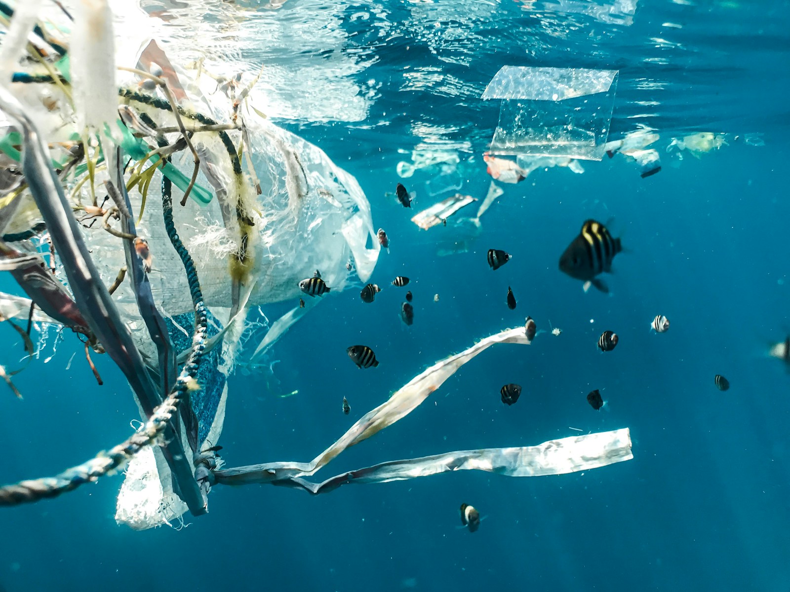 The-10-Countries-Dumping-The-Most-Plastic-Into-The-Ocean