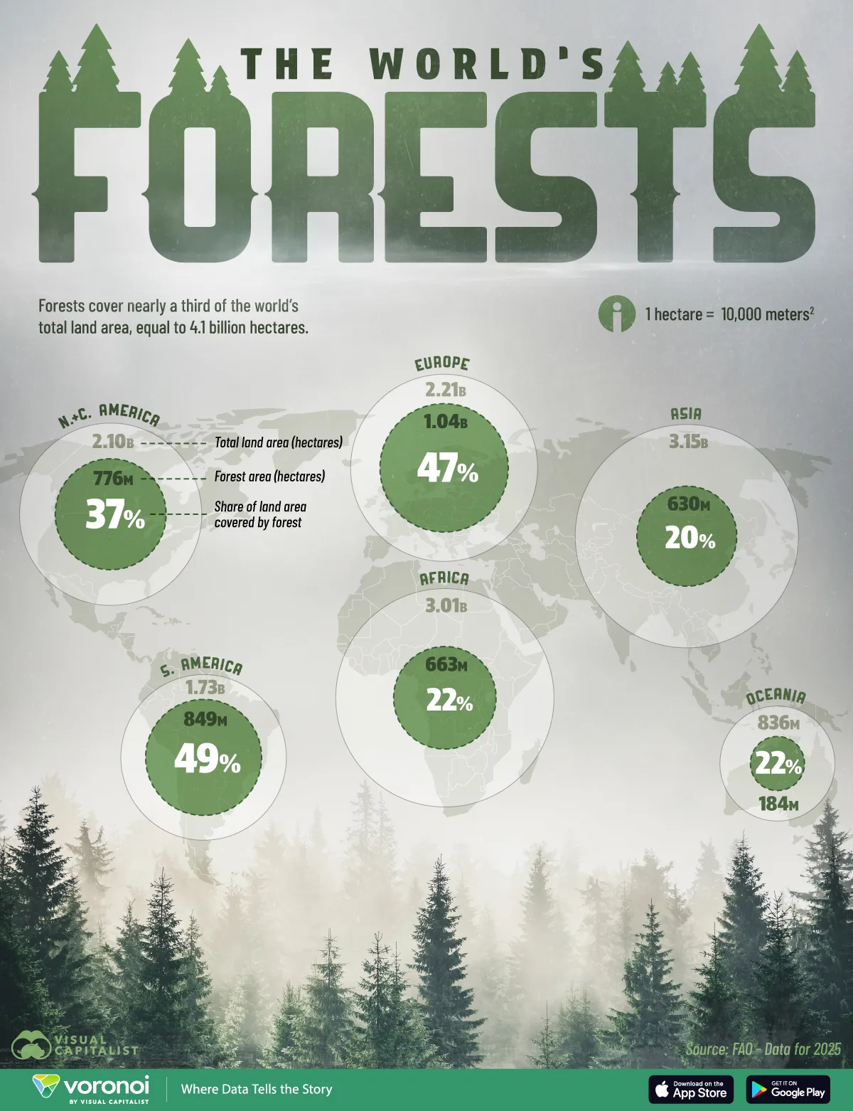 Which-Regions-Have-The-Highest-Density-Of-Forests