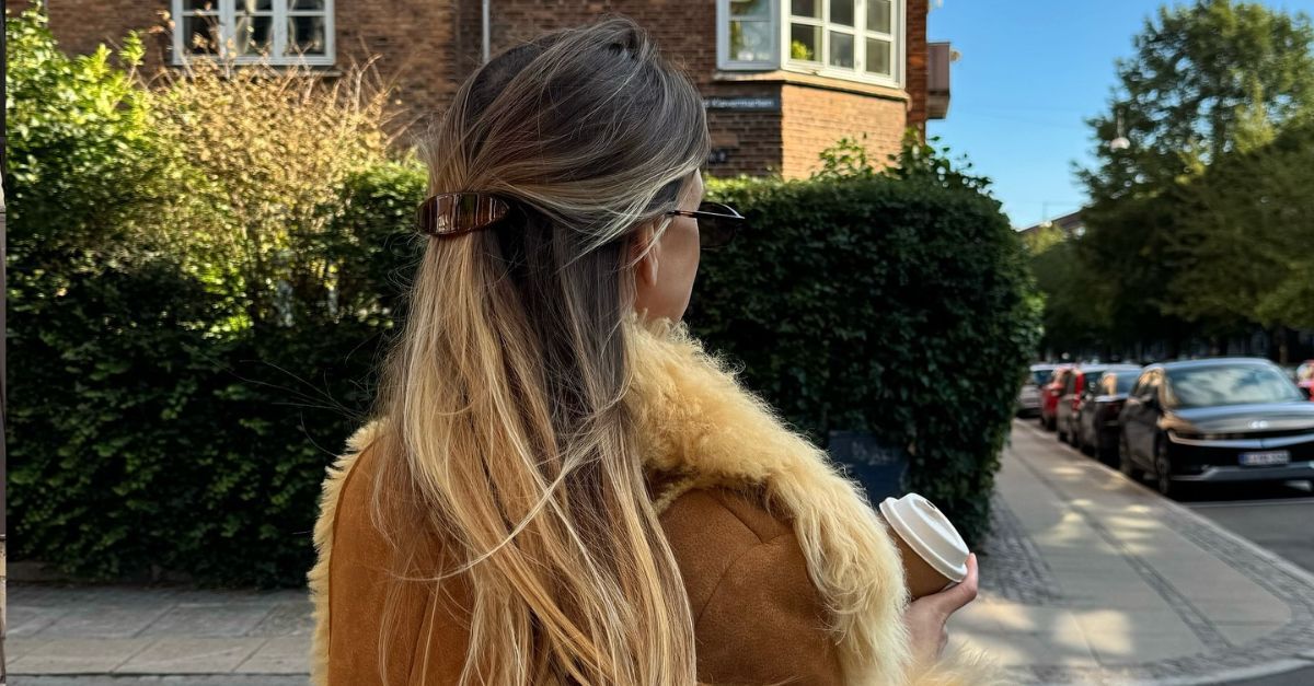 Brown-Hair-With-Blonde-Highlights-Always-Looks-Good—Here-Are-18-Timeless-Looks-That-Prove-It