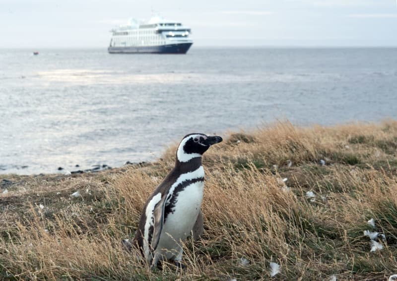 Cape-Horn-A-Wind-Swept-Expedition-To-The-Very-Tip-Of-The-World