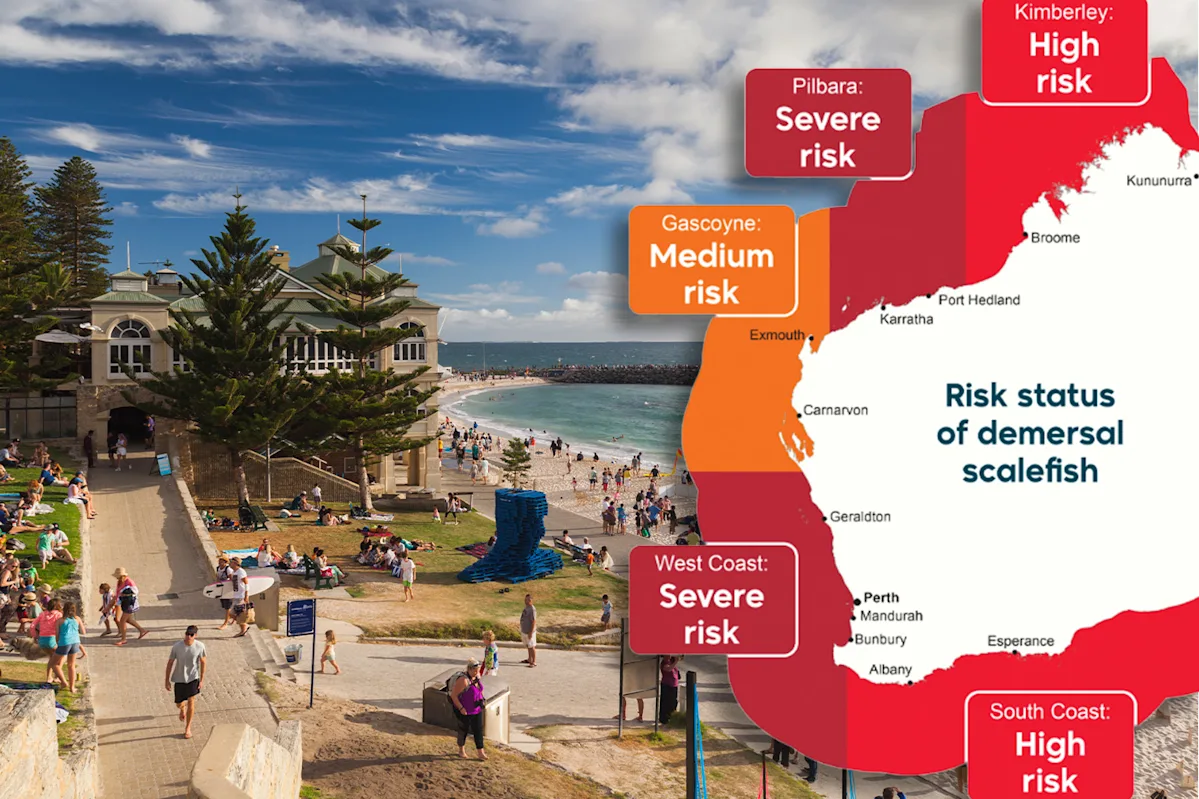 Cost-Of-Aussie-Dinner-Table-Staple-Set-To-Soar-After-Fishing-Ban-Along-900km-Of-Aussie-Coastline