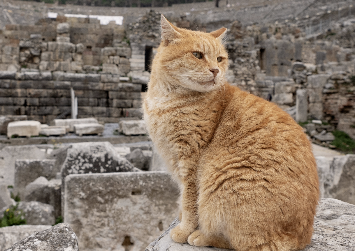 Screenshot-2025-12-02-at-15.56.34