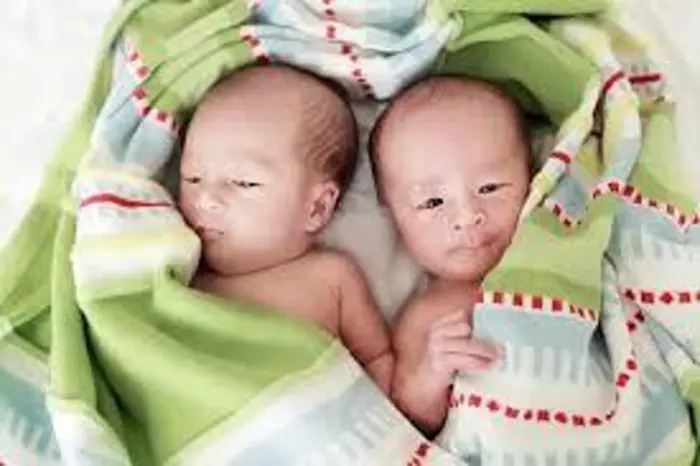 Study-Says-South-Korea-Has-Too-Many-Twins-Warns-Of-Health-Risks