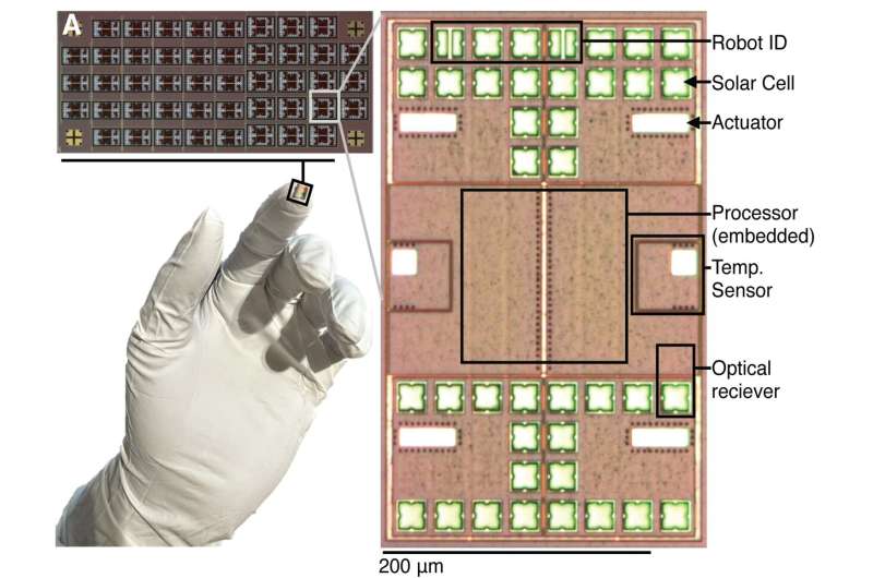 Sub-millimeter-sized-robots-can-sense-think-and-act-on-their-own