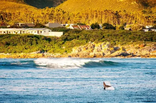 WHY-Small-Town-Living-In-South-Africa-Is-Taking-Off-In-A-BIG-Way