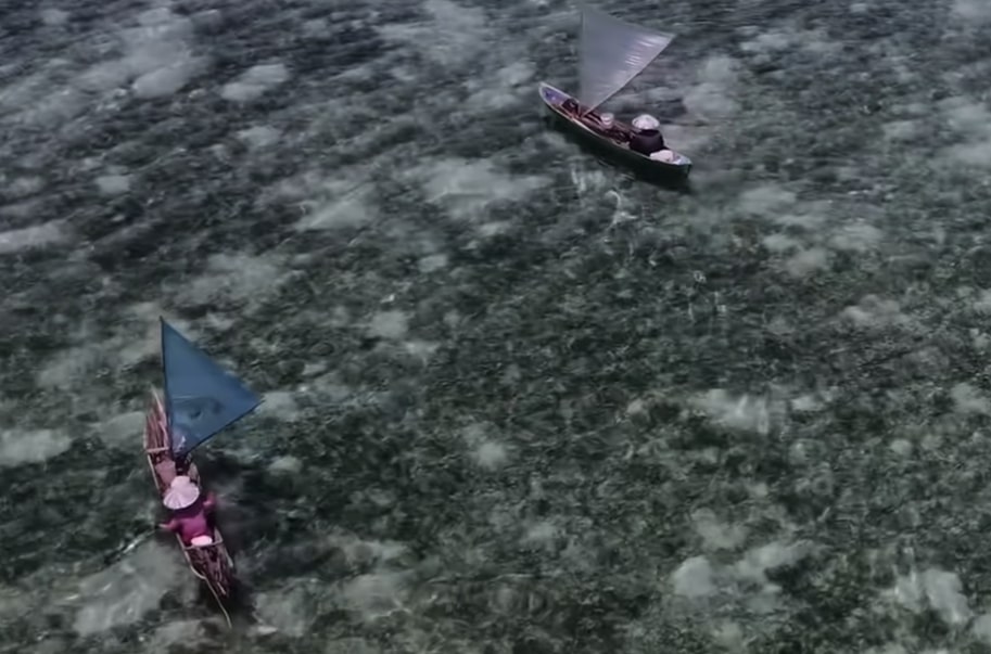 Salt-In-Their-Veins-Full-Award-Winning-Documentary