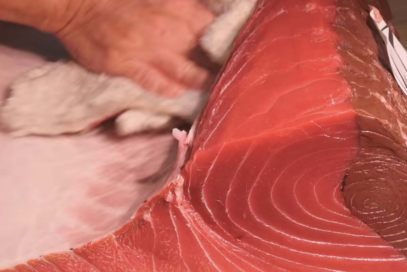 The-Secret-Weapon-Behind-The-Best-Sushi-In-The-World-Including-Jiro-Dreams-Of-Sushi