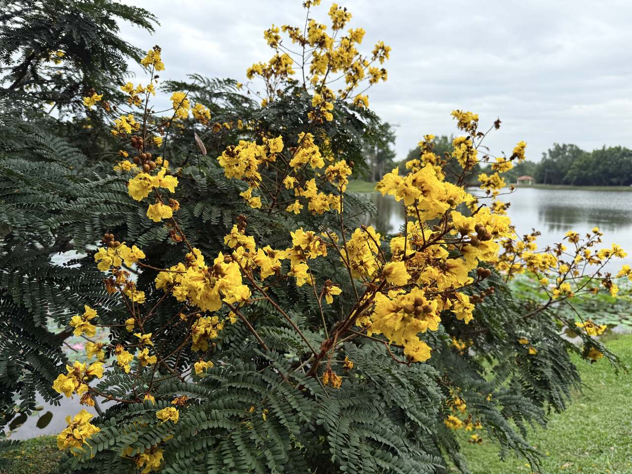 IMG_0959_Easy-Resize.com_